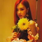 180730 roses_are_rosie 3 sunflower_3